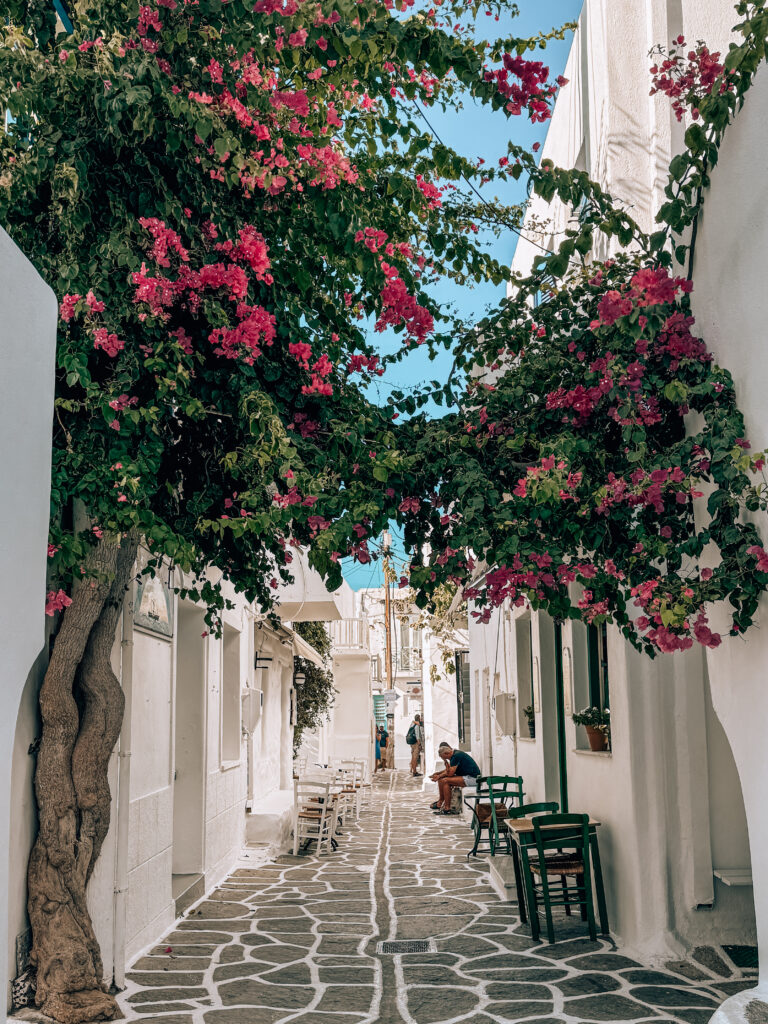 Streets of Naoussa with bougainvillea in Paros, Greece
