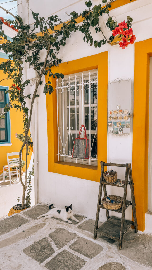 Cute storefront in Lefkes, Paros, Greece