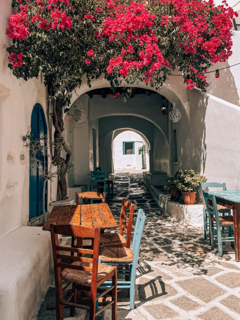Bougainvillea in Prodromos, Paros, Greece