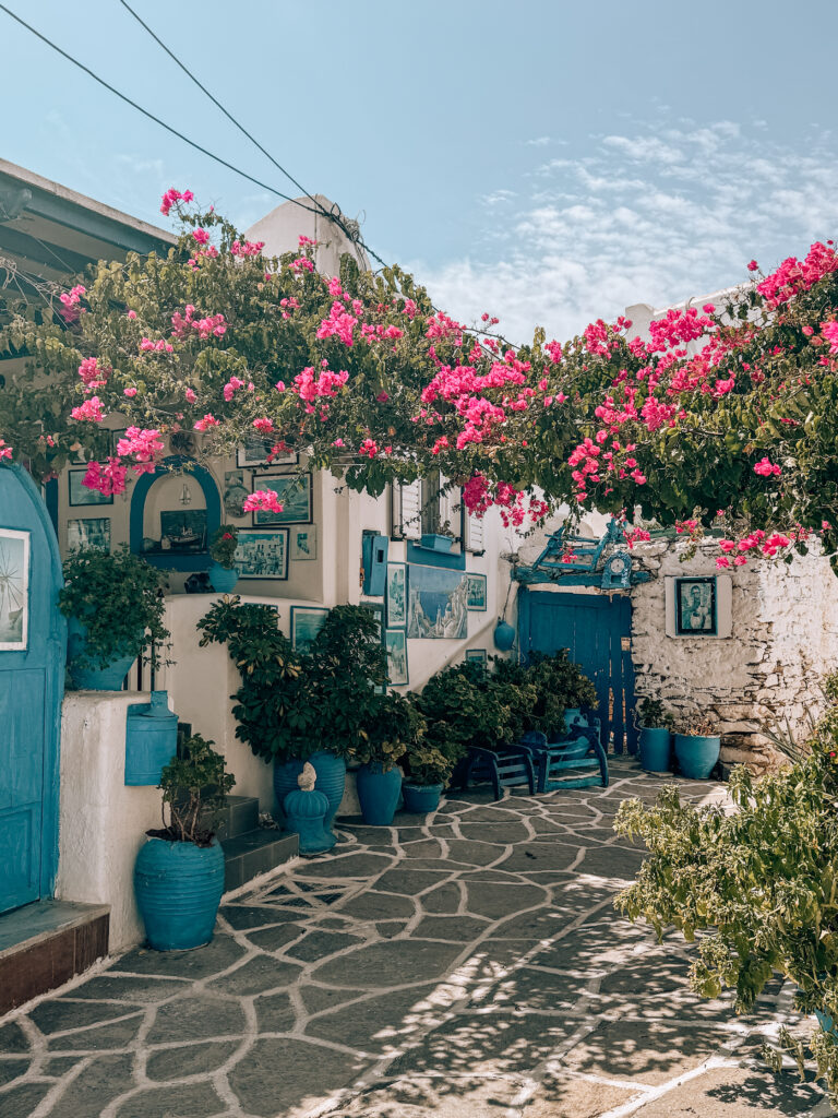 Bougainvillea in Prodromos, Paros, Greece