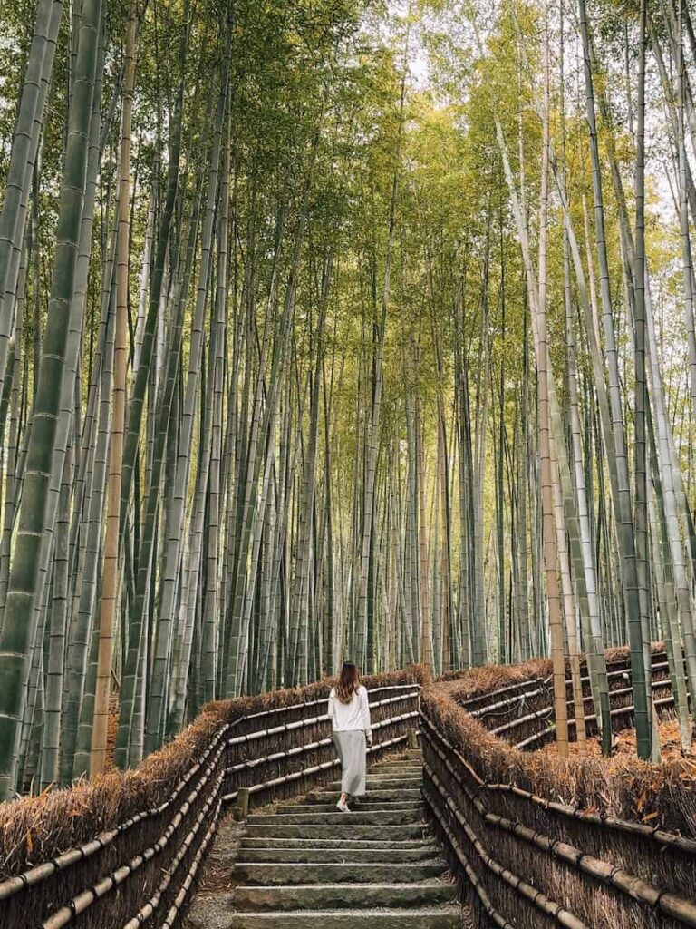 Person walking up stone steps in Adashino Nenbutsu-ji temple in Arashiyama, Kyoto, surrounded by tall bamboo trees and a quiet forest pathway.