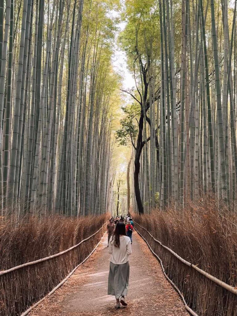 Author walking through the Arashiyama Bamboo Grove in Kyoto, surrounded by towering bamboo trees along a scenic forest path.