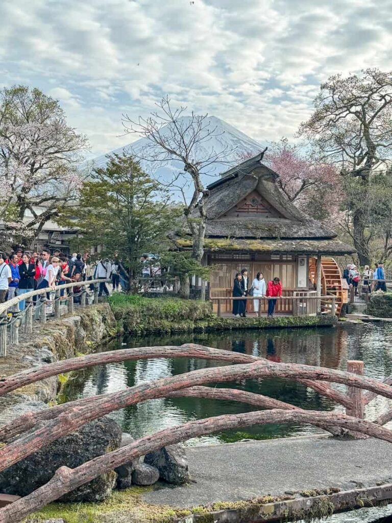 Tourists enjoying the peaceful village of Oshino Hakkai with wooden bridges, cherry blossoms, and Mount Fuji in the background.