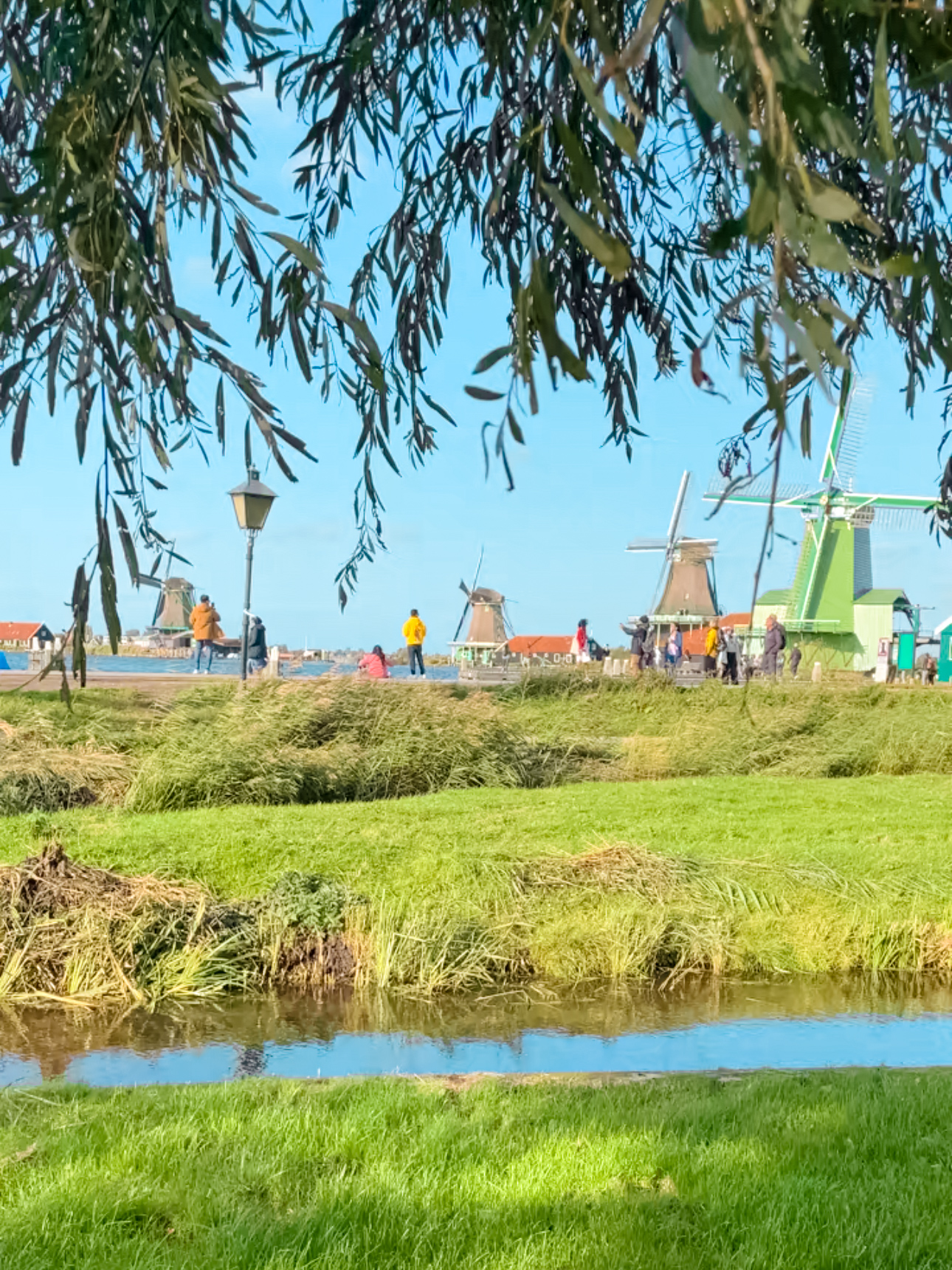 Traditional Dutch windmills at Zaanse Schans on a sunny day – a perfect day trip from Amsterdam