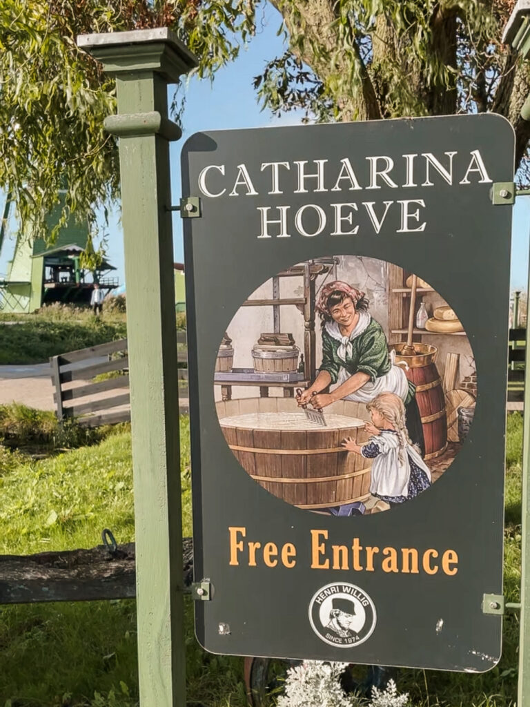 cheese tasting experience at Zaanse Schans – a highlight of a day trip from Amsterdam