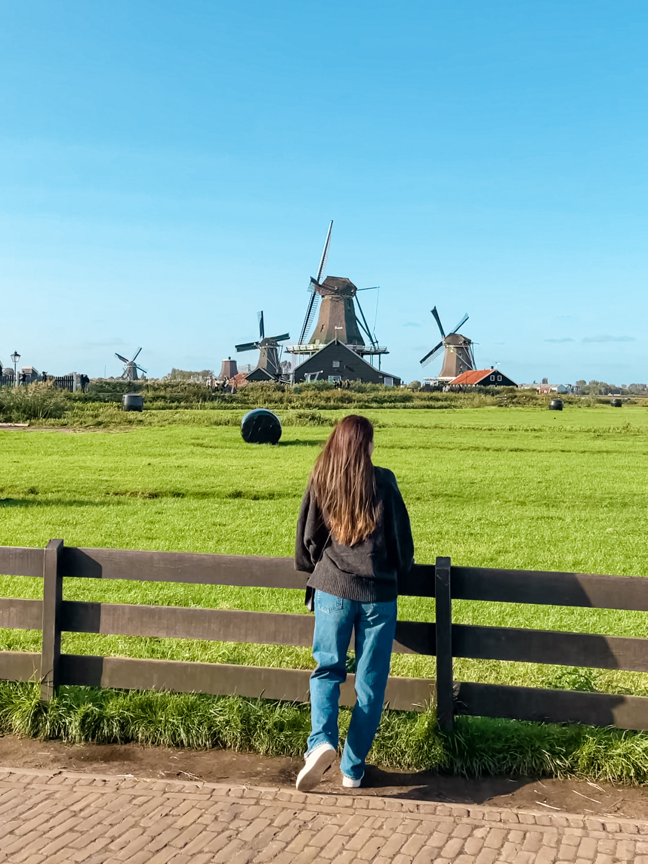 A scenic view of Zaanse Schans with historic windmills and lush greenery, just a short trip from Amsterdam