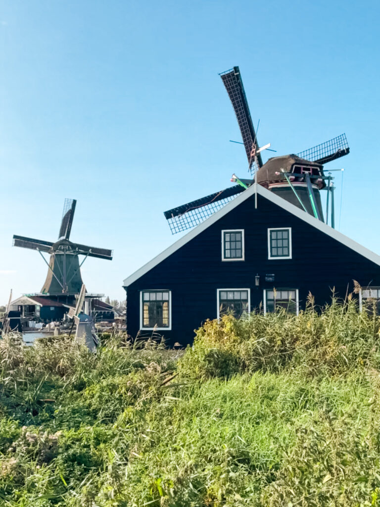 Traditional Dutch windmills at Zaanse Schans on a sunny day – a perfect day trip from Amsterdam