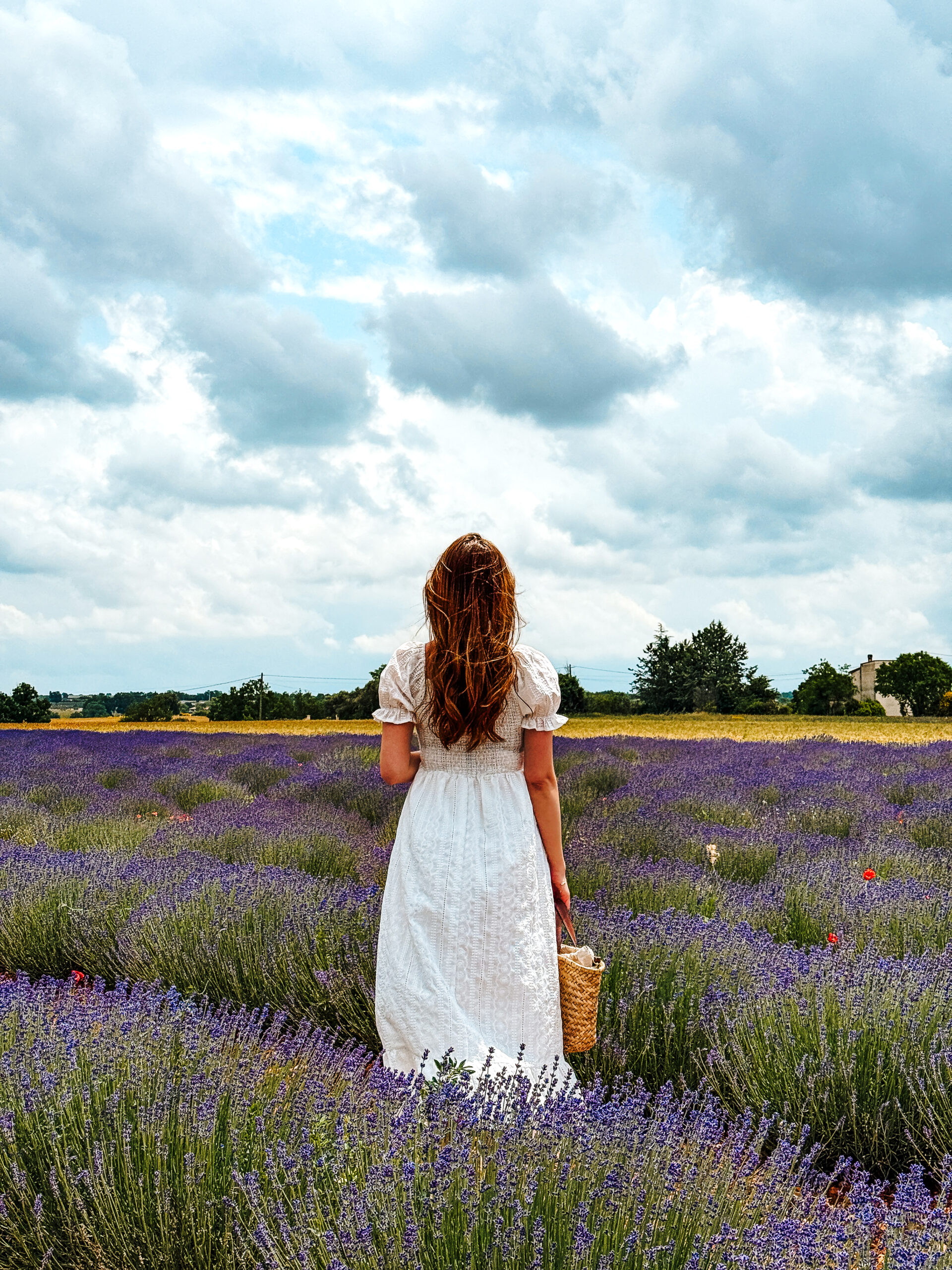A woman standing in lavender fields in Valensole, Provence
