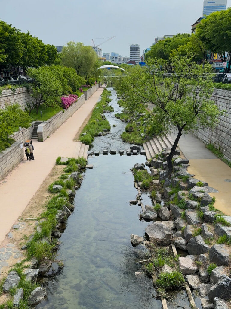 A tranquil stream lined with greenery and walking paths on both sides, flowing through a modern urban area in central Seoul.