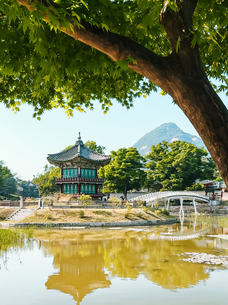 A traditional Korean pavilion surrounded by lush greenery, sitting on an island in a calm reflective pond at Gyeongbokgung Palace, framed by a tree and backed by a scenic mountain.