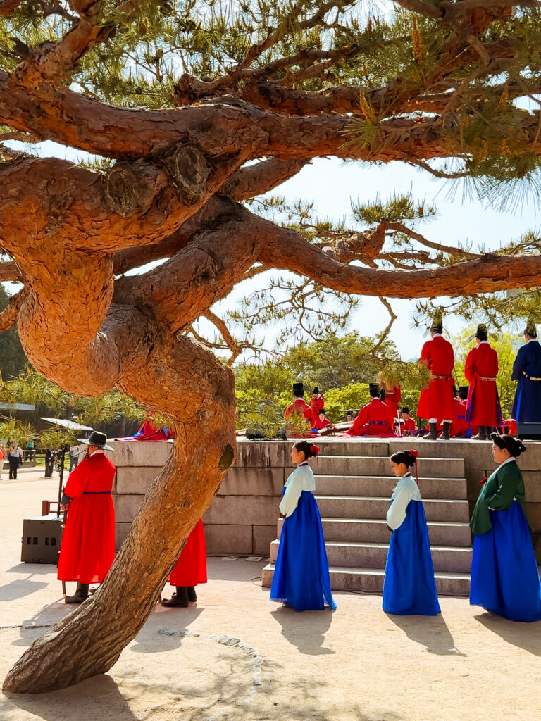 A group of people dressed in colorful hanbok and royal guard uniforms participate in a traditional ceremony under a large twisted pine tree at a Joseon-era palace in Seoul.