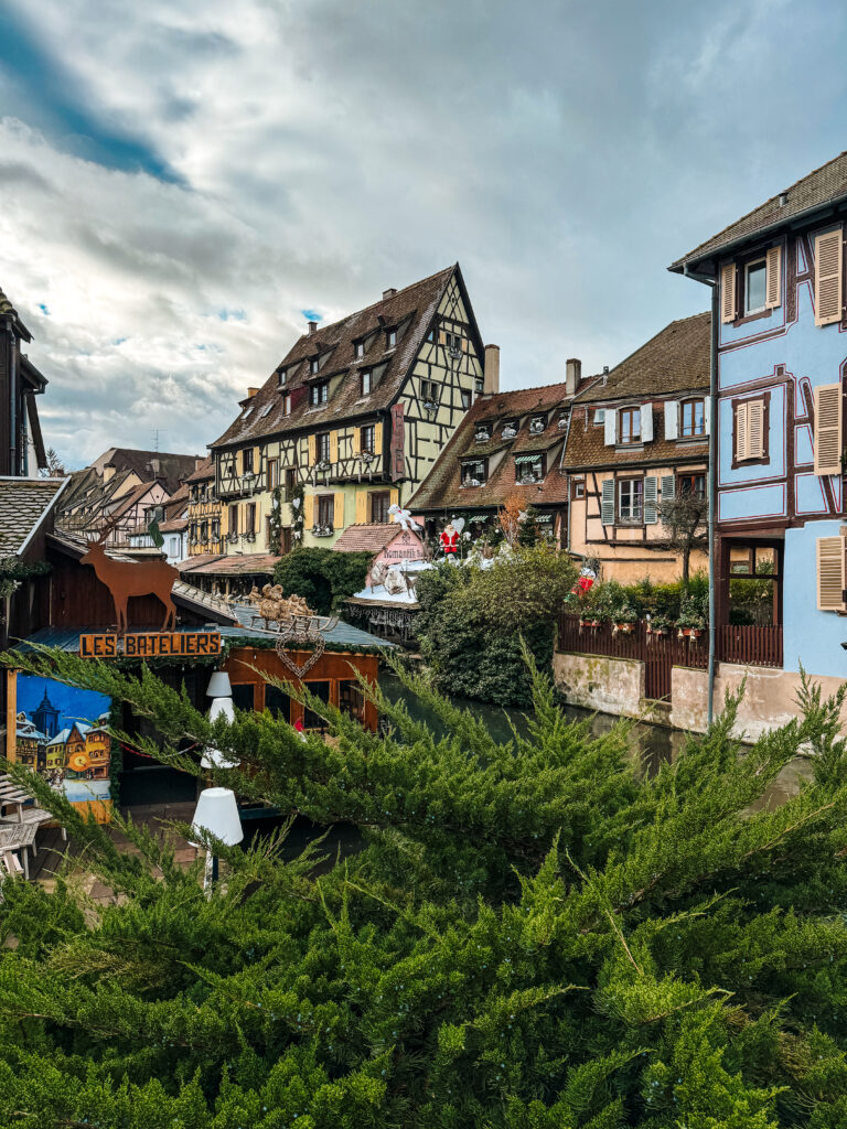 Colorful Alsatian half timbered houses reflecting on a canal in Colmar decorated for the Christmas season.