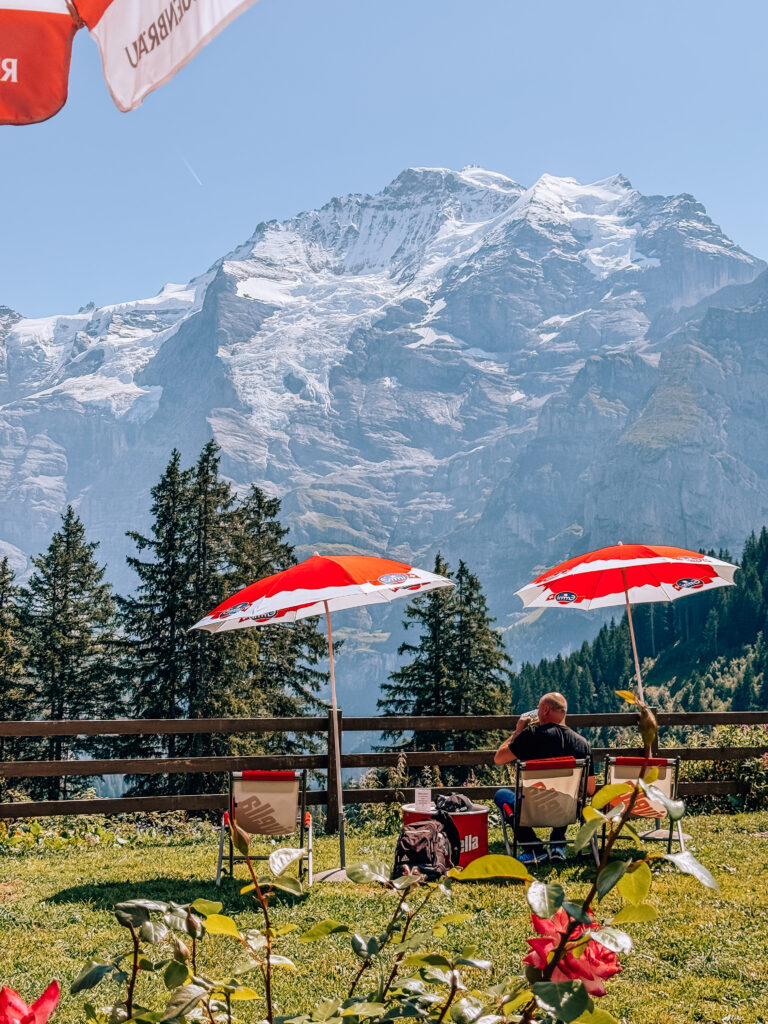 Scenic view from Winteregg with a man relaxing under red umbrellas, looking out at the snow-capped Swiss Alps and pine-covered slopes.
