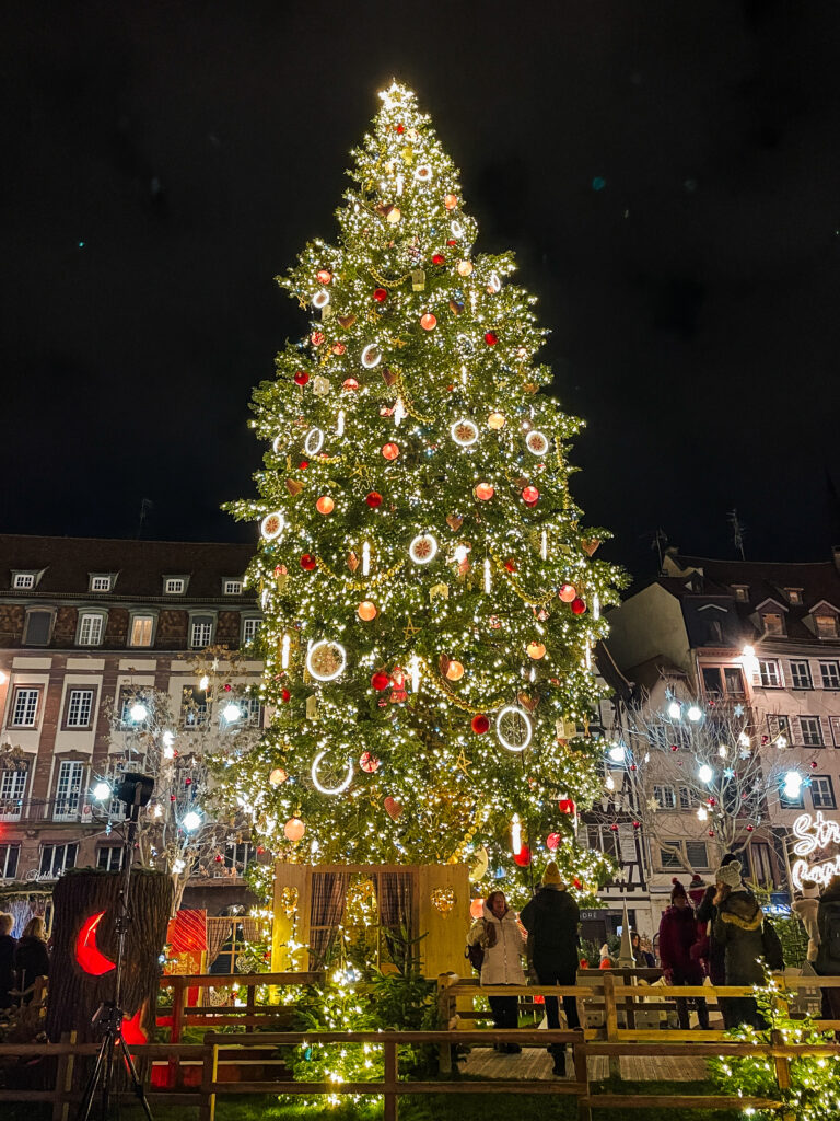 The Grand Sapin illuminated with thousands of lights and ornaments at Place Kléber in Strasbourg.