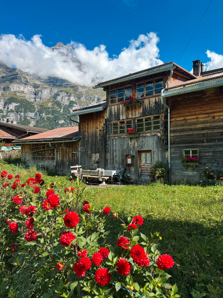 Traditional wooden house in Gimmelwald with bright red flowers in front, framed by dramatic alpine cliffs and snowy peaks.