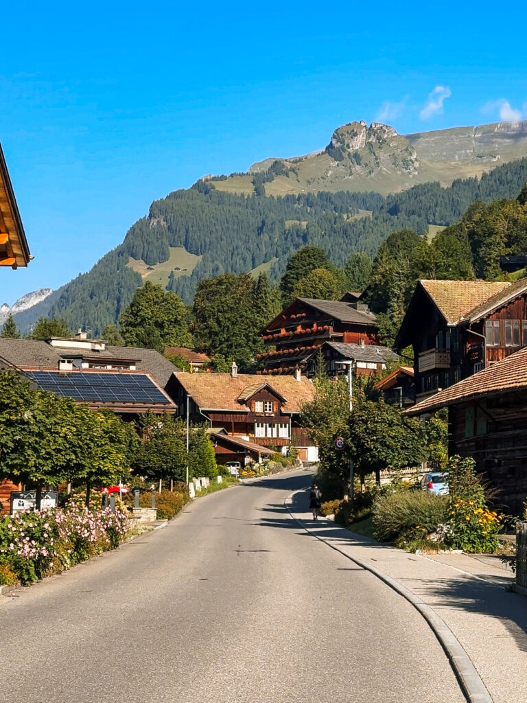 Peaceful street in Grindelwald lined with wooden chalets and flower gardens, with forested hills and mountains rising in the background. Grindelwald is one of the most beautiful Switzerland mountain villages.