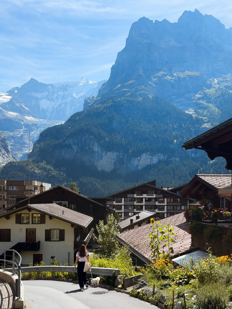 Traveler walking a dog in Grindelwald,  one of most beautiful Switzerland mountain villages, with alpine houses in the foreground and the towering Eiger mountain dominating the skyline.