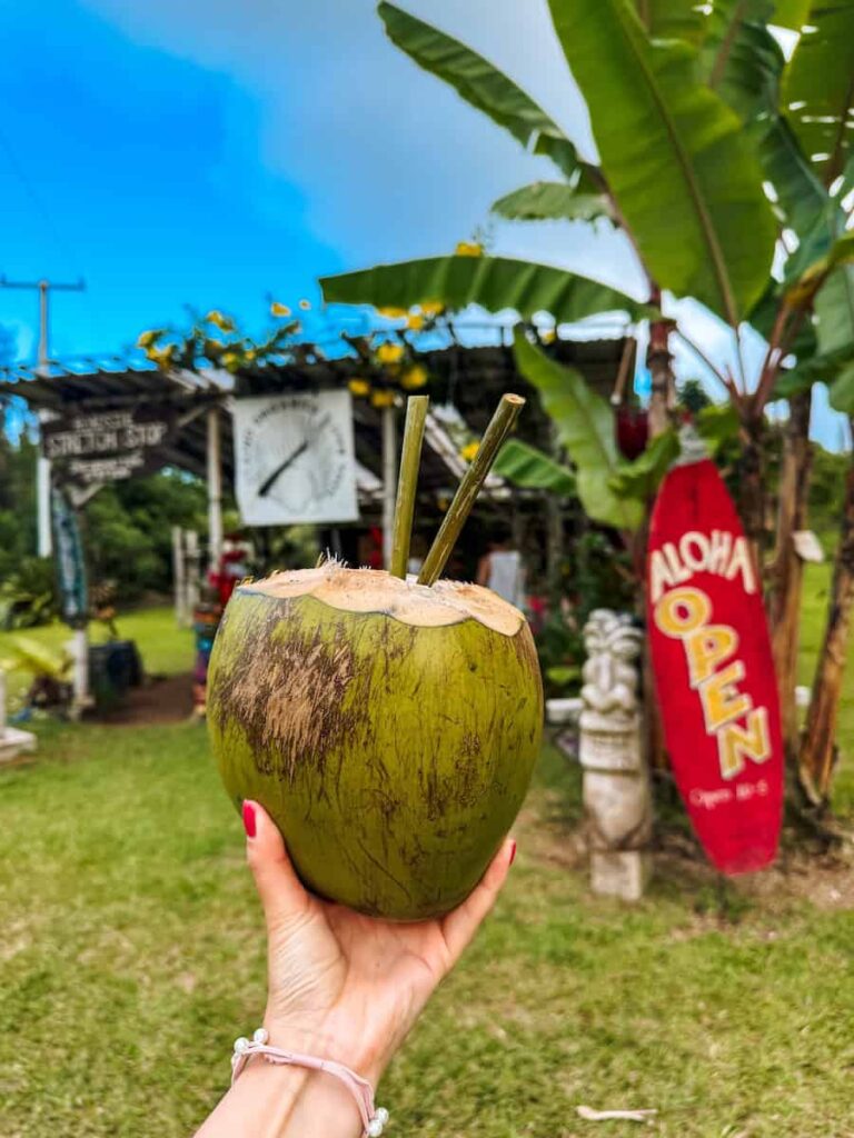Hand holding a fresh coconut with two straws at a tropical fruit stand along the Road to Hana in Maui, with an ‘Aloha Open’ surfboard sign in the background.