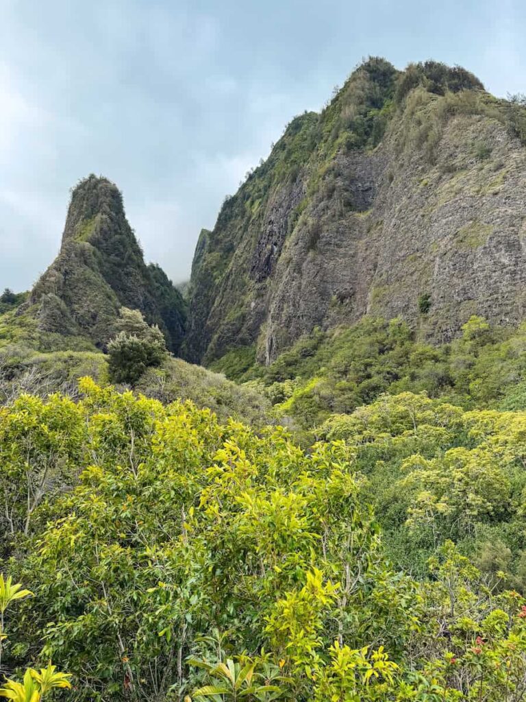 Scenic view of the dramatic green peaks and tropical forest at Iao Valley State Park in Maui.