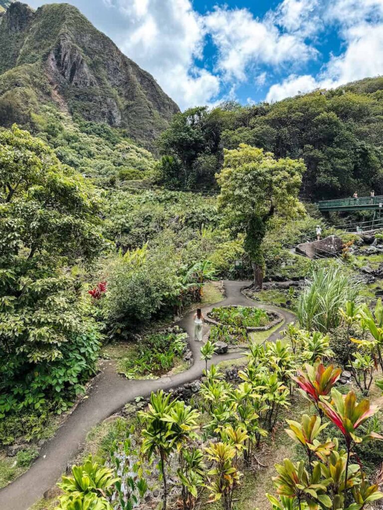 Woman walking along a winding path surrounded by lush tropical plants and taro fields at Iao Valley State Park in Maui