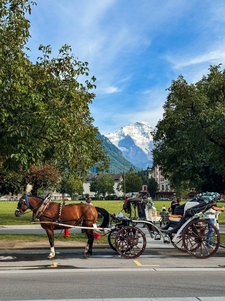 Horse-drawn carriage parked along a tree-lined street in Interlaken with people nearby and snow-capped mountains rising in the background.