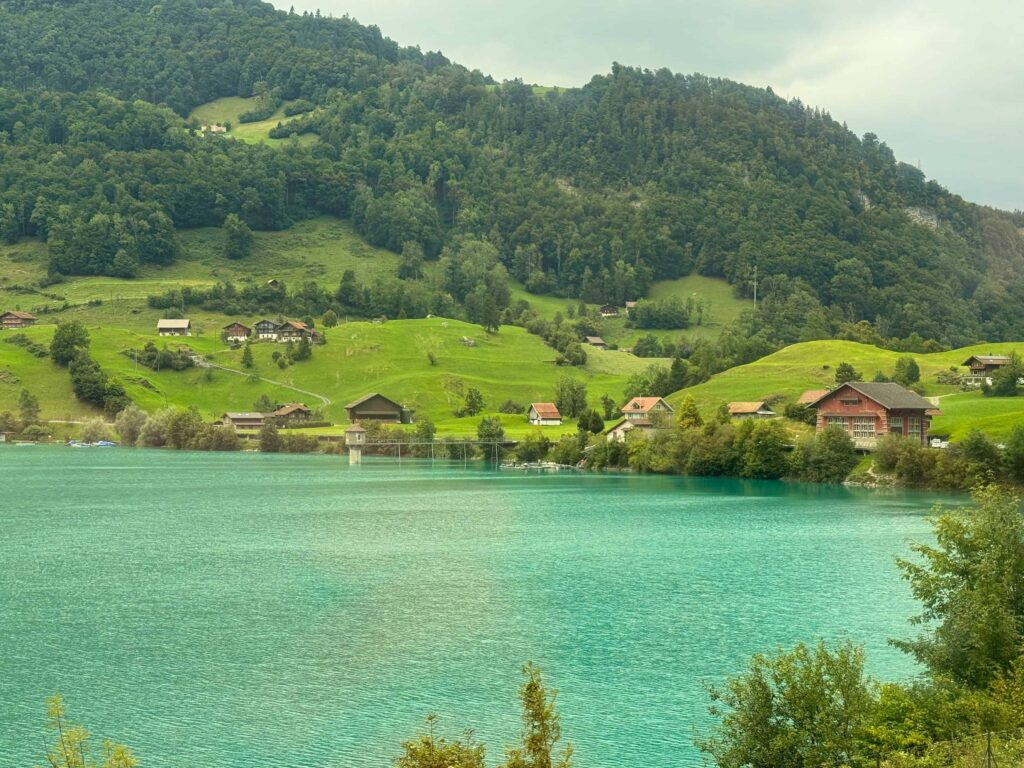 views of houses on green meadows from luzern-interlaken express