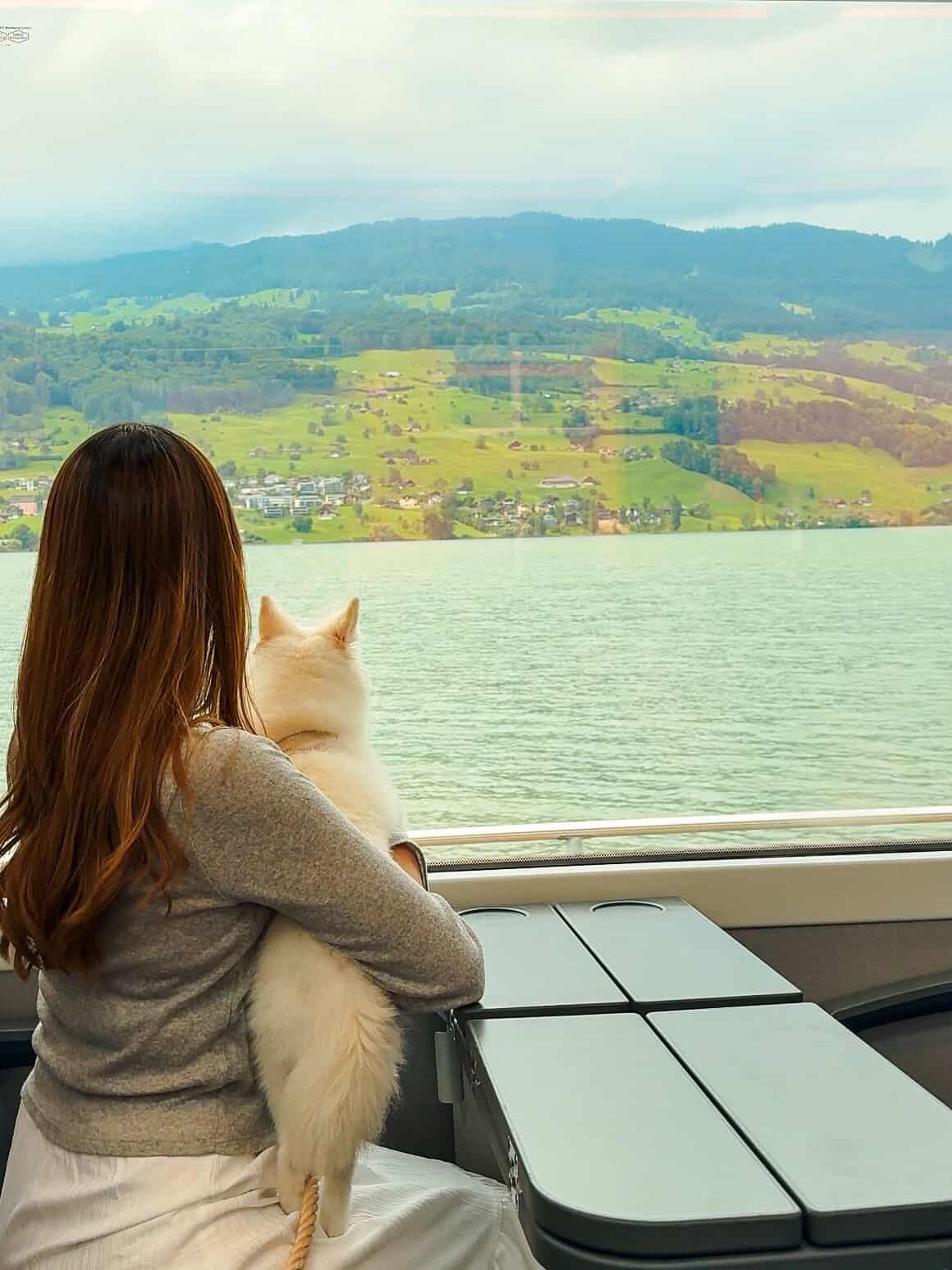 The author holding her white dog while sitting on the luzern-interlaken express looking out the large window at small village on the lake. 