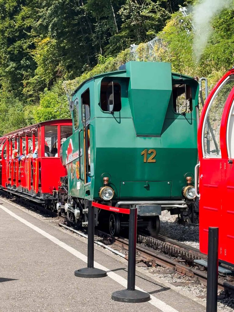 Green and red Brienz Rothorn Bahn steam locomotive number 12 releasing steam while preparing to depart from the station surrounded by lush trees.