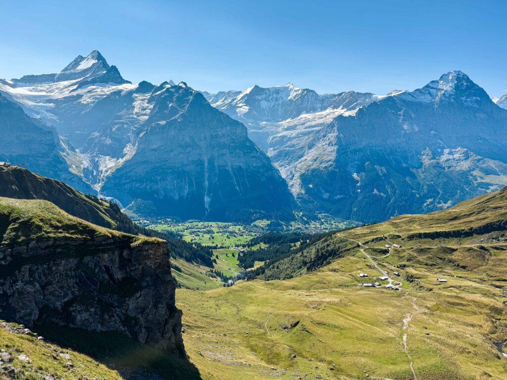 Panoramic view from the Bachalpsee hike in Grindelwald, Switzerland, showcasing green alpine meadows, rugged cliffs, and towering snow-capped peaks of the Bernese Alps under a clear blue sky.
