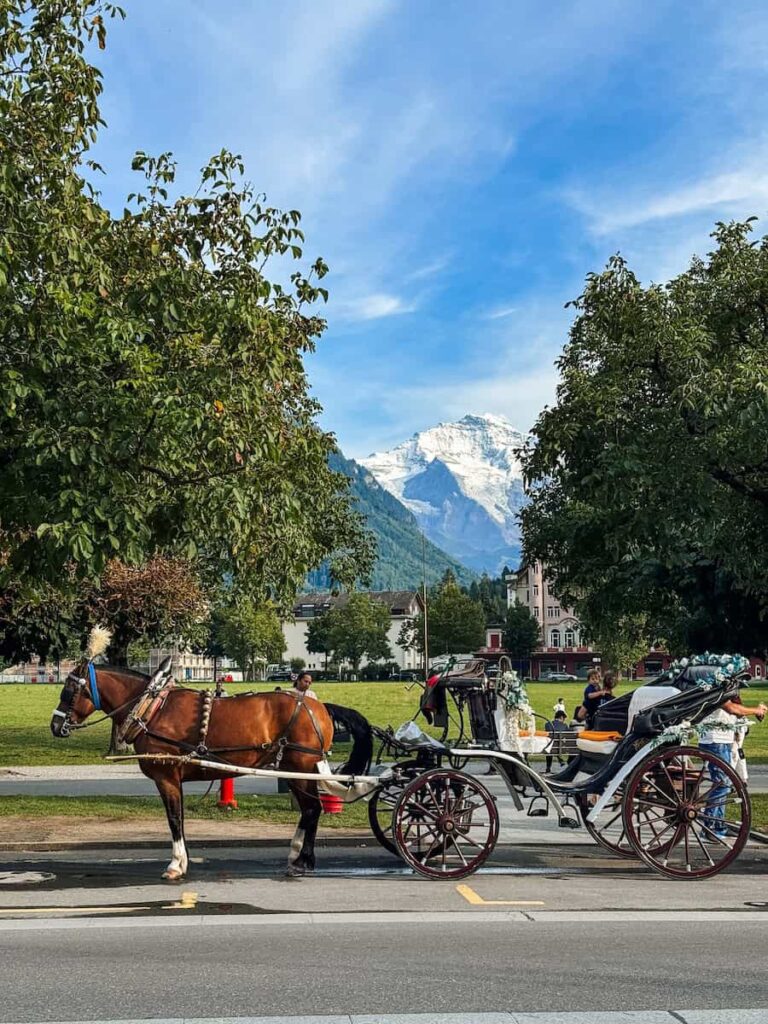 Classic horse drawn carriage in Interlaken with lush trees and snow capped mountain peaks in the background.