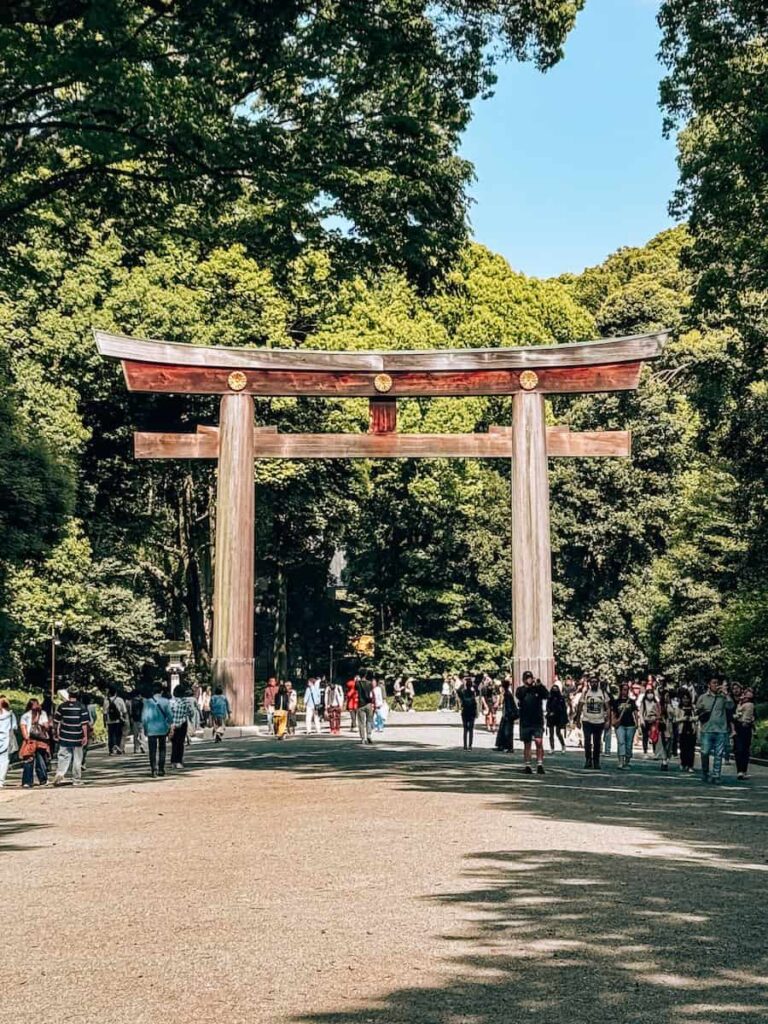 Large wooden torii gate at Meiji Shrine in Tokyo surrounded by lush green forest with visitors walking through the entrance on a sunny day