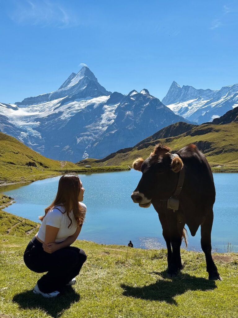 Woman with alpine cow at Lake Bachalpsee in Grindelwald with Eiger mountain backdrop in the Swiss Alps