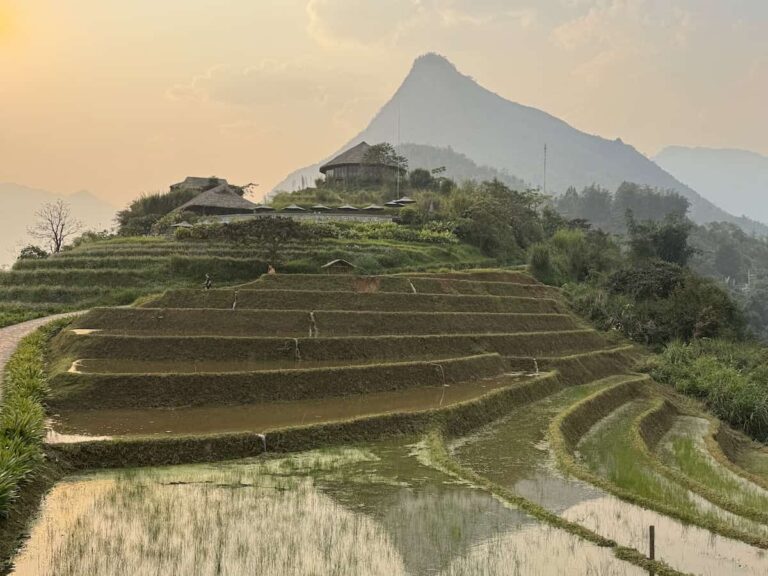 Terraced rice fields at Topas Ecolodge in Sapa, Vietnam, with a mountain peak rising behind the luxury resort at sunset.