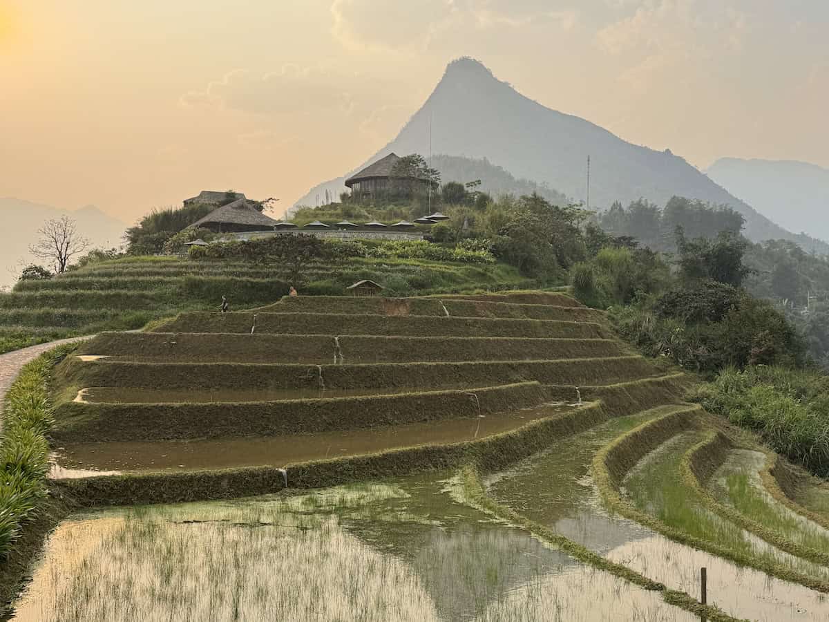 Terraced rice fields at Topas Ecolodge in Sapa, Vietnam, with a mountain peak rising behind the luxury resort at sunset.