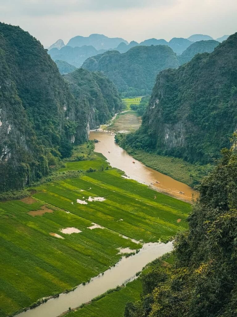 View from the top of Hang Mua over the Ngo Dong River winding through rice fields