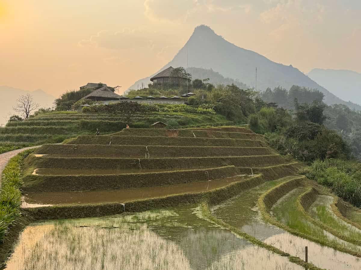 Terraced rice fields cut into the hillsides of Muong Hoa Valley in Sapa